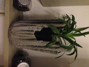 Blumen Übertöpfe, Vasen - Zement Bild 16