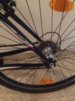 Fahrrad MTB mit und ohne Lupine Lampe Bild 5