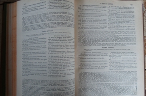 Sacra Bibbia; Vecchio Testamento secondo la volgata; Volume 1 und 2; Bild 8