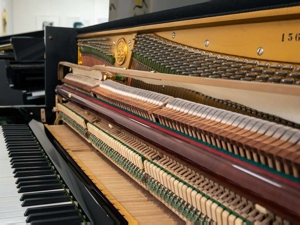 Klangvolles C. Bechstein Klavier in schwarz poliert. Kostenlose Zustellung nach Vorarlberg (*) Bild 10