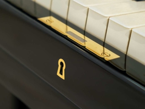 Klangvolles C. Bechstein Klavier in schwarz poliert. Kostenlose Zustellung nach Vorarlberg (*) Bild 4
