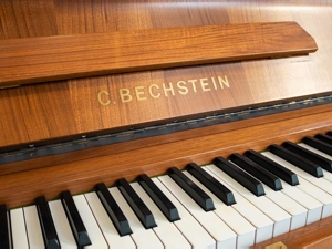 C. Bechstein Klavier *Originalzustand* Kostenlose Lieferung nach Vorarlberg(*) Bild 10
