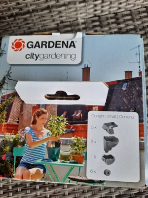 Gardenia city gardening Bild 3