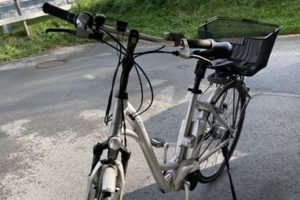 Elektro-Fahrrad Mke Flyer - E-Bike Bild 6