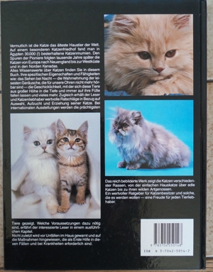 Das grosse Katzenbuch Bild 5