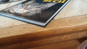 Das grosse Katzenbuch Bild 3
