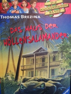 Thomas Brezina Jugendbücher 3 Stück  Bild 3