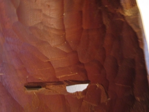 Afrikanische Holzschnitzkunst - Wandmaske - Holz - schwer - massiv - 61,5cm x 23cm Bild 6