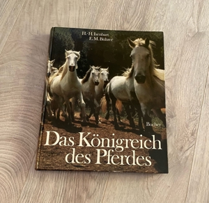 Pferde Buch  Bild 1