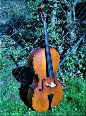 Cello n. "D. TECCHLER ROMAE 1709" m. Bogen & Tasche Bild 3