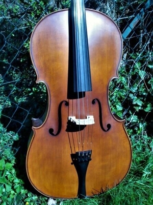 Cello n. "D. TECCHLER ROMAE 1709" m. Bogen & Tasche Bild 1