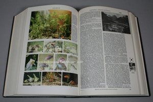 Brockhaus Enzyklopädie 17. Auflage, Halbleder, Band 1-25, 1966-1981 Bild 4