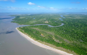 Exklusives, ökologisches Insel-Grundstück auf Macanandiba / Brasilien Bild 6
