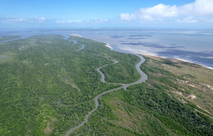 Exklusives, ökologisches Insel-Grundstück auf Macanandiba / Brasilien Bild 3