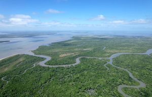 Exklusives, ökologisches Insel-Grundstück auf Macanandiba / Brasilien Bild 2