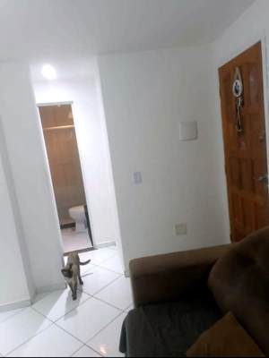 Schnäppchen - Appartement in Fortaleza / Brasilien Bild 3