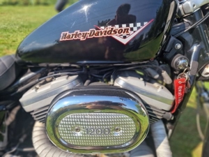 Harley Davidson XLH 1200 Sport sportster Bild 3