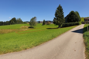 Grundstücksverkauf in Lingenau - Bregenzerwald Bild 3