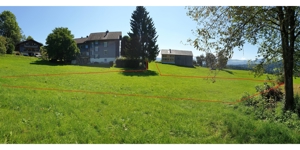 Grundstücksverkauf in Lingenau - Bregenzerwald Bild 5