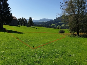 Grundstücksverkauf in Lingenau - Bregenzerwald Bild 7