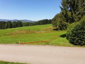 Grundstücksverkauf in Lingenau - Bregenzerwald Bild 6