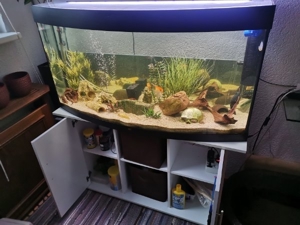 Aquarium 260 Liter