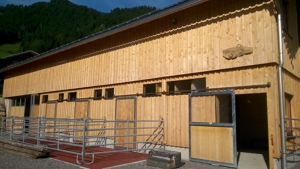 Paddockbox in Au/Bregenzerwald zu vermieten! Bild 1