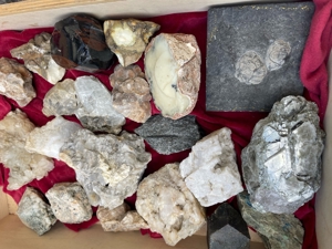 Steine, Versteinerung, Mineralien,Ähnliches Bild 9