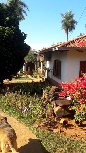 Haus mit Pool, Gästehaus und großem Grundstück in Caacupe / Paraguay Bild 2