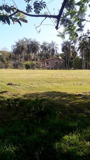 Haus mit Pool, Gästehaus und großem Grundstück in Caacupe / Paraguay Bild 6