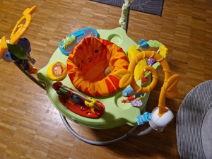 Fisher-Price - Spielspaß Rainforest Jumperoo Bild 3