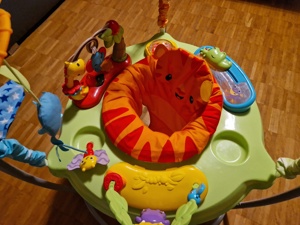 Fisher-Price - Spielspaß Rainforest Jumperoo Bild 4