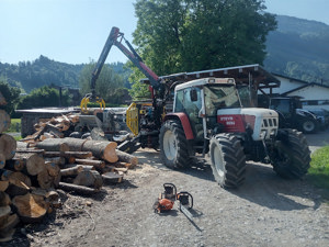 Holzschlägerung, Baumfällung, Forstarbeiten, Brennholz - Aufbereitung Bild 4
