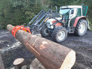 Holzschlägerung, Baumfällung, Forstarbeiten, Brennholz - Aufbereitung Bild 2