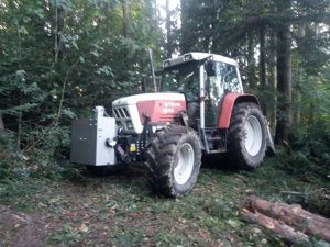 Holzschlägerung, Baumfällung, Forstarbeiten, Brennholz - Aufbereitung Bild 5