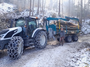 Holzschlägerung, Baumfällung, Forstarbeiten, Brennholz - Aufbereitung Bild 6
