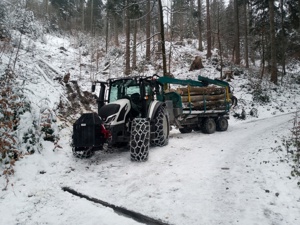 Holzschlägerung, Baumfällung, Forstarbeiten, Brennholz - Aufbereitung Bild 8