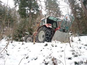 Holzschlägerung, Baumfällung, Forstarbeiten, Brennholz - Aufbereitung Bild 9