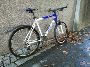 Fahrrad  Bild 1