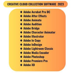 Adobe Creative Cloud 2023 auf Lebenszeit Bild 2