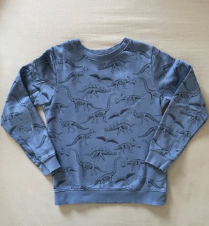 schönes Sweatshirt Jungen, H&M, Gr. 142, blau mit Dinosaurier Bild 1