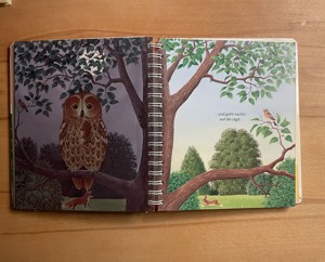 "Mein erstes Buch Natur und Tiere" - mit transparenten Folienseiten Bild 4