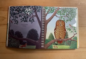 "Mein erstes Buch Natur und Tiere" - mit transparenten Folienseiten Bild 2