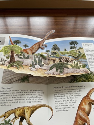 Tolles großes Dinosaurier-Buch mit Aufklapp-Seiten Bild 6