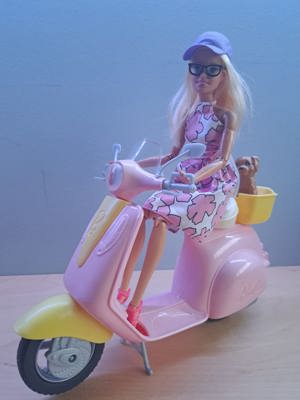 The World of Barbie - umfangreiches Konvolut! Bild 8