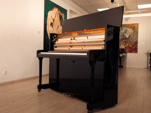 Samick Klavier in schwarz poliert. Kostenlose Lieferung in ganz Vorarlberg (*) Bild 8