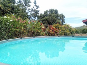 Schönes Haus mit Pool und Garten in der Karibik Las Galeras Samana Dominikanische Republik Bild 8