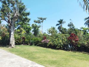 Schönes Haus mit Pool und Garten in der Karibik Las Galeras Samana Dominikanische Republik Bild 5