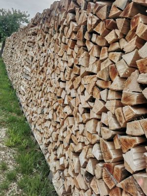 Brennholz Buche Stammabschnitte Holzrückstände