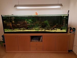 Aquarium 720 Liter